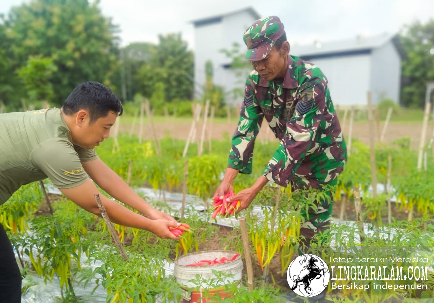 Picsart 01 26 10.48.50