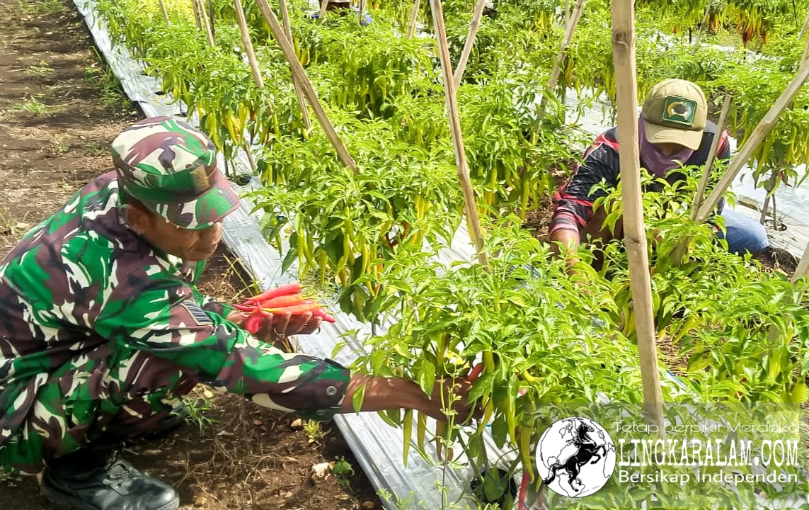 Picsart 01 26 10.50.20