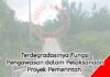 Terdegradasinya Fungsi Pengawasan dalam Pelaksanaan Proyek Pemerintah