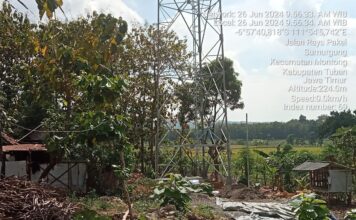 Potret: Jarak Zonasi Proyek Menara Seluler di Desa Sumurgung, Tak Sesuai Aturan