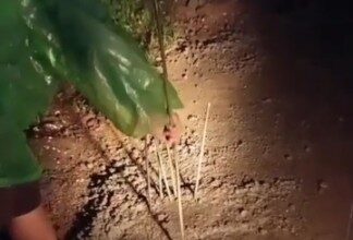 Rekonstruksi Jalan Sambeng–Besah Bojonegoro Diduga Tak Sesuai Spesifikasi, Pengawasan Konsultan Dipertanyakan