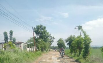 Ironi di Balik Slogan “Dalane Nglenyer” Jalan Desa di Bojonegoro Jadi Kubangan Lumpur