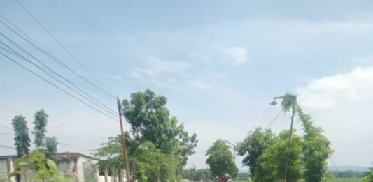 Ironi di Balik Slogan “Dalane Nglenyer” Jalan Desa di Bojonegoro Jadi Kubangan Lumpur