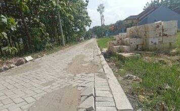 Belum Dilintasi Sudah Miring, Paving Jalan Kentong–Caban Tuai Kritik Warga (Jilid 2)