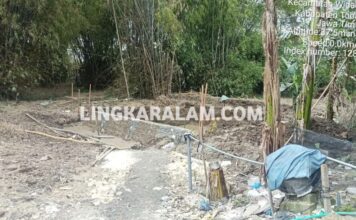 Menara Telekomunikasi Diduga Ilegal Berdiri di Widang, Dibangun Tanpa Izin Lengkap