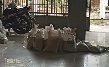 Beras Bantuan Berjamur Gegerkan Warga Grabagan Tuban, KPM Terima Pangan Tak Layak Konsumsi