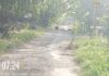 Jalan Rusak Bertahun-tahun Dibiarkan, Warga Gununganyar Tanam Pohon Pisang sebagai Alarm Pemerintah