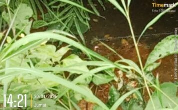 Program MBG Tuban Resmi Jalan, Publik Pertanyakan SLF dan Sistem Pengolahan Limbah