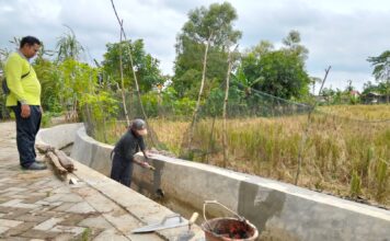 Retak TPT Mulyoagung Tuban: Perbaikan Kilat, Tata Kelola Dana Desa Dipertanyakan!