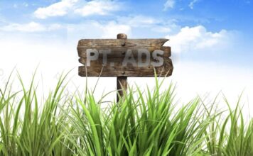 Rangkap Jabatan Kepala BPKAD Bojonegoro di PT ADS, Konflik Kepentingan yang Terstruktur?