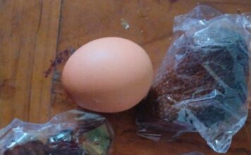 Diduga Anggaran dan Realisasi MBG di Soko Tak Sinkron? Wali Murid Minta Penjelasan