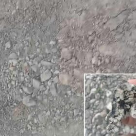 Jalan Miliaran Rupiah di Pragelan Rusak Parah, Bupati Wahono Diminta Evaluasi Total