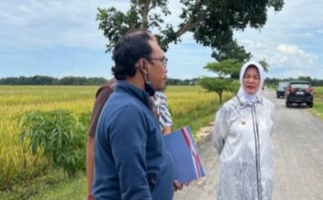 Sidak Wabup Bojonegoro Temukan Aspal Tipis di Proyek Jalan BKKD Ngampal, Diperintahkan Bongkar Total