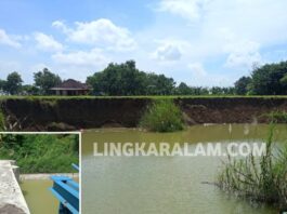 Diduga Dampak Proyek Cek Dam, Lahan Produktif Warga Padangan Bojonegoro Longsor