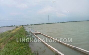 Proyek Irigasi Hampir Setengah Miliar di Kawasan Banjir, Kajian Teknis Dipertanyakan (Jilid 1)