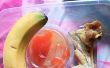 Menu MBG SPPG Sokosari 4 Disorot, Realisasi di Lapangan Diduga Tak Sesuai Publikasi