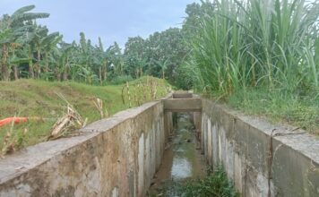 Proyek Irigasi Kebomlati Rp457 Juta Disorot, Panjang Sheet Pile Diduga Tak Sesuai Dokumen