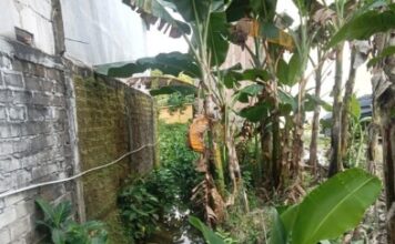 Diduga Banyak Dapur MBG di Tuban Tanpa IPAL, Pengawasan SPPI Dipertanyakan