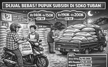 Diduga Dijual Bebas, Penyaluran Pupuk Subsidi di Soko Tuban Disorot