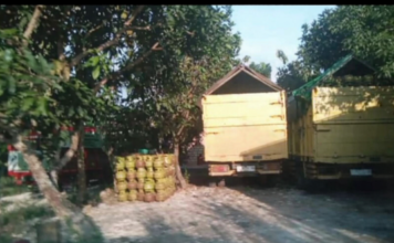 Harga Melambung, Barang Langka: Dugaan Mafia LPG Subsidi di Tuban Mulai Terbongkar