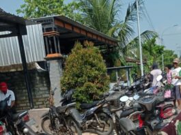 Pupuk Subsidi Tak Kunjung Tersalurkan, Petani Kumpulrejo Resah: Data Disebut “Nyasar” ke Desa Lain