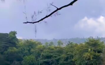 Pesona Sunyi di Punggung Kapur: Ketika Fakta Berbicara dari Gununganyar