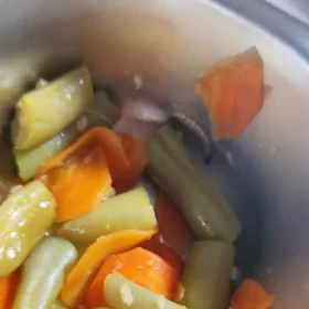 Program MBG di Senori Disorot, Ulat Ditemukan dalam Menu Sayur Siswa SMPI Leran