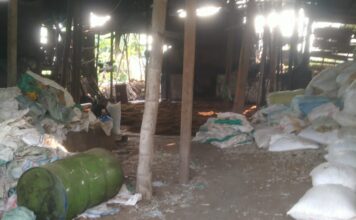 Asap Bulu Ayam Selimuti Permukiman, Warga Dusun Gowah Tuban Mengeluh Sesak dan Bau Menyengat