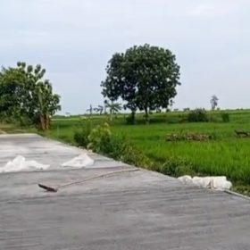 Dana BKKD Diduga Mengendap, Supplier Material Jalan Beton Desa Teleng Tagih Sisa Pembayaran