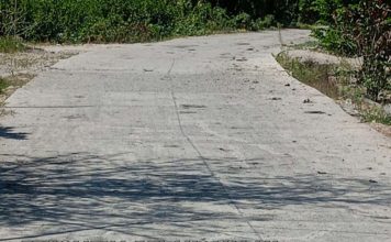 Sengkarut HPS dan Lunturnya Semangat Swadaya pada Proyek BKKD Bojonegoro (Jilid 1)