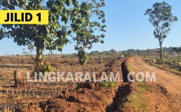 Trunkline Gas PT TGE di Kawasan Perhutani Perlu Kejelasan Status Persetujuan (JILID 1)