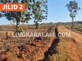 Trunkline Gas PT TGE di Kawasan Perhutani Perlu Kejelasan Status Persetujuan (Jilid 2)