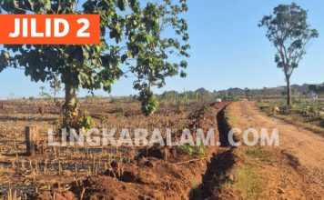 Trunkline Gas PT TGE di Kawasan Perhutani Perlu Kejelasan Status Persetujuan (Jilid 2)