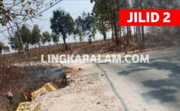 Tronton Angkut Alat Berat ke Lapangan Tawun, Parapet Jembatan Rusak, DPU dan DLHP Tuban Pasif Bersuara (Jilid 2)Â