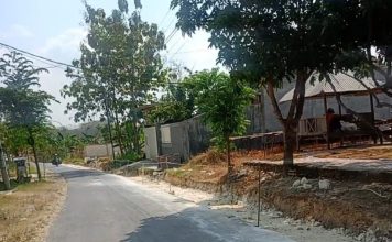 Diduga Timbunan Pedel Tak Capai 20 Sentimeter, Proyek Pelebaran Jalan Pandanagung–Simo Rp2,65 Miliar Jadi Sorotan