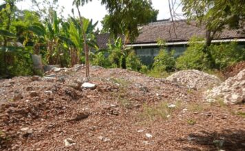 Material Bekas Rumah Dinas Kesehatan Soko Tuban Dipertanyakan Publik, Bagaimana Status Asetnya?