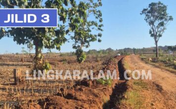 Jalur Pipa PT TGE di Kawasan Perhutani 6 Km, Perhutani dan Pemkab Tuban Perlu Buka Kejelasan