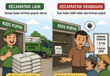 Distribusi Pupuk di Grabagan Tuban Tersendat, Kios Mengaku Dua Bulan Lebih Minim Pasokan