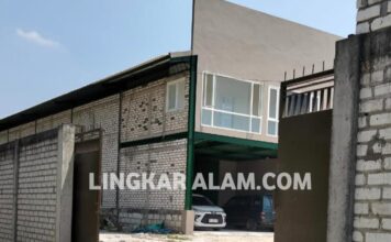 Gudang Distributor Susu di Rengel Diduga Berdiri di Kawasan LP2B, Izinnya Dipertanyakan