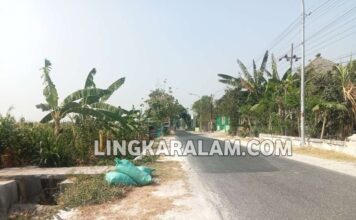 Menelusuri Paket Pemeliharaan Jalan Rengel-Widang, UPTD PUPR Diuji