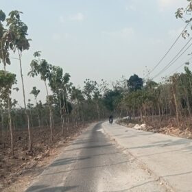 Bupati Tuban Minta OPD Bergerak Cepat, Rekonstruksi Jalan Banjarworo–Gemulung Masih Sepi Aktivitas