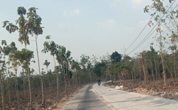 Bupati Tuban Minta OPD Bergerak Cepat, Rekonstruksi Jalan Banjarworo–Gemulung Masih Sepi Aktivitas